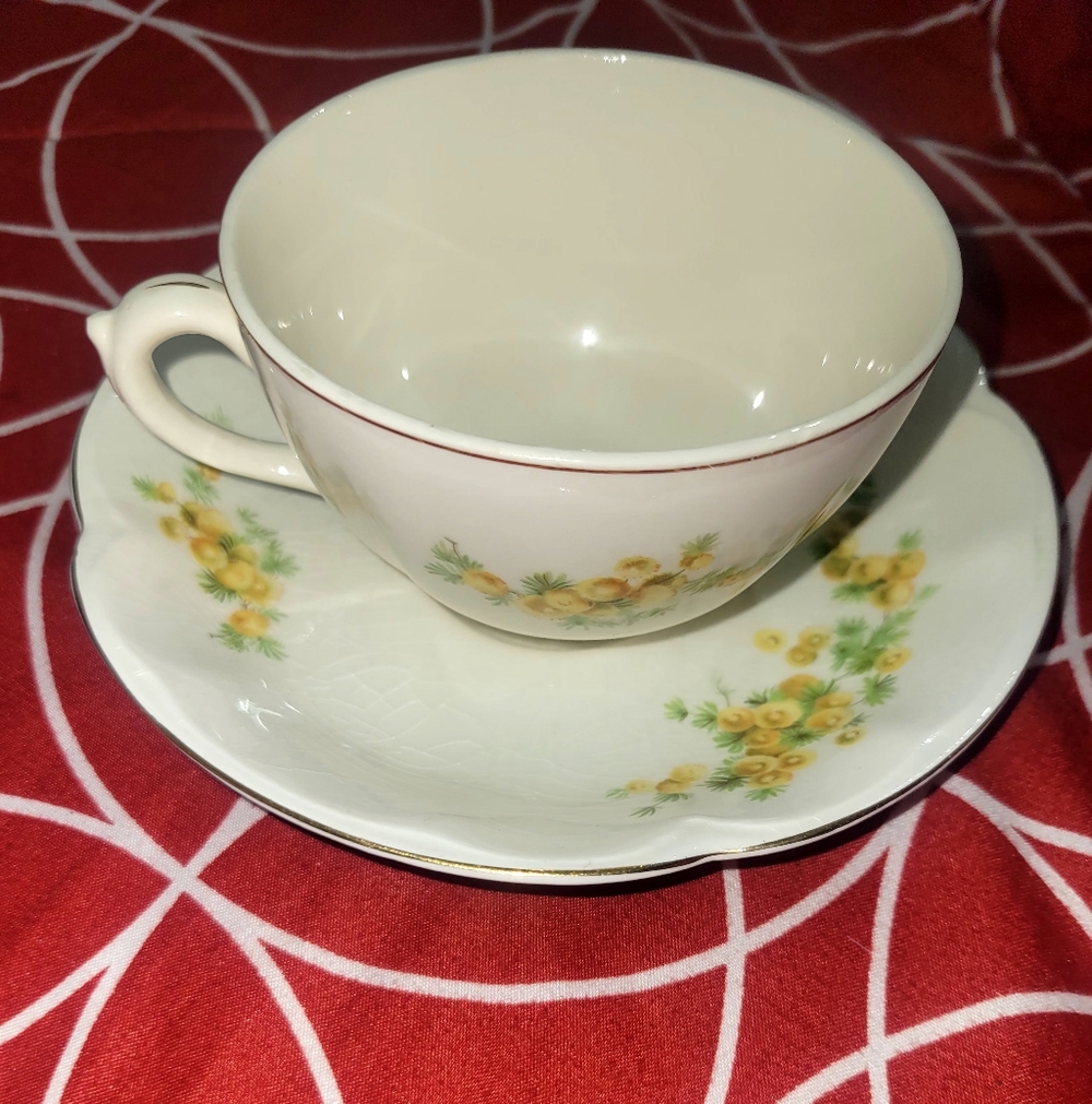Vintage Floral Mug and Saucer Set